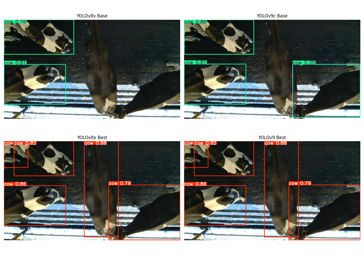 Detection comparison between YOLOv8x and YOLOv9c models